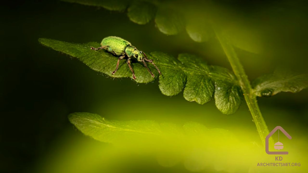 Latest News My GreenbucksNet - A Deep Dive into the Buzz